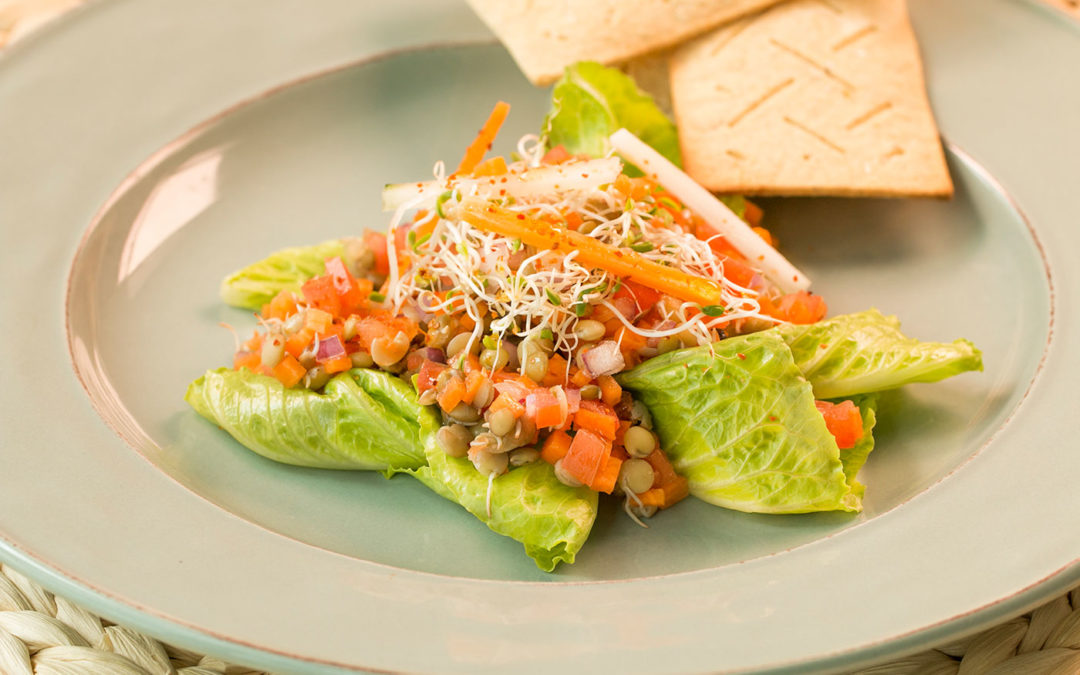 Ceviche Germinado