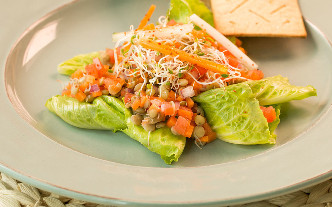 Sprouted Ceviche